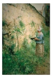 Quadro famoso Carl Larsson - Il vecchio muro