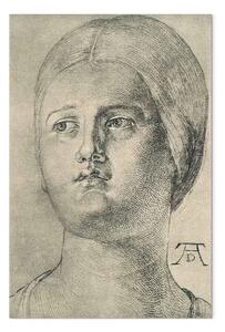 Riproduzione Albrecht Dürer - Testa di una donna
