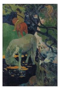 Riproduzione quadro Paul Gauguin - Il cavallo bianco