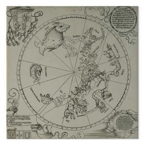 Riproduzione Albrecht Dürer - L'emisfero australe del globo celeste