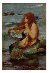 Riproduzione John William Waterhouse - Una sirena