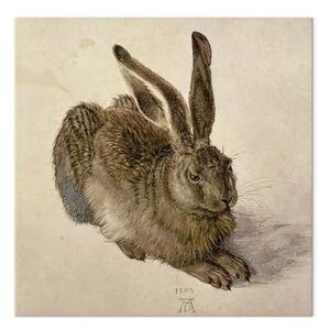 Riproduzione quadro Albrecht Dürer - Lepre