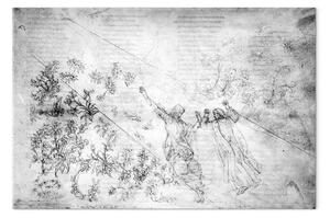 Riproduzione Sandro Botticelli - Botticelli II