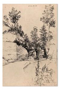 Riproduzione quadro Albrecht Dürer - Uscita da una cava
