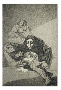Riproduzione quadro Francisco Goya - La faccia vergognosa, piatto