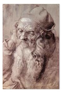 Riproduzione quadro Albrecht Dürer - L'uomo di novantatre anni