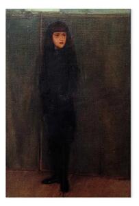 Riproduzione quadro Fernand Khnopff - Ritratto di Jules Philippson