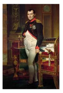 Riproduzione Jacques-Louis David - Napoleon Bonaparte