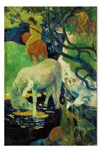 Riproduzione quadro Paul Gauguin - The White Horse