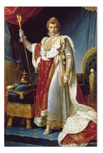 Riproduzione François Gérard - Napoleone I nella sua veste dell'incoronazione