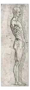 Quadro famoso Leonardo da Vinci - Studio anatomico (penna e inchiostro su carta)