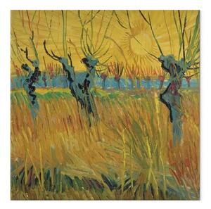 Quadro famoso Vincent Van Gogh - Salici cipollati e sole al tramonto
