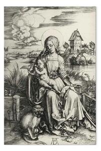 Riproduzione quadro Albrecht Dürer - Maria con la scimmia guenon