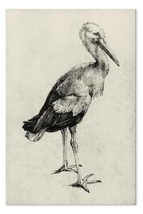 Riproduzione Albrecht Dürer - Cicogna