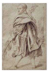 Riproduzione quadro Peter Paul Rubens - Studio di un alabardiere