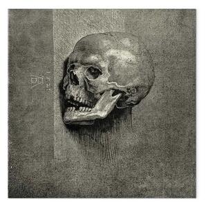 Riproduzione Albrecht Dürer - Cranio