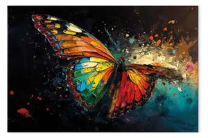 Quadro Farfalla colorata - composizione con insetto con texture pittorica