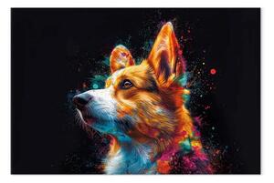 Quadro contemporaneo Animale domestico focalizzato - ripresa cinematografica di un Corgi