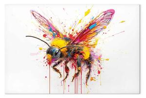 Quadro Ape collezionista - insetto colorato e pittorico su sfondo bianco
