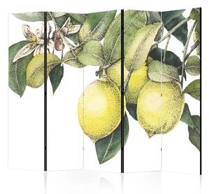 Paravento separè Limoni e foglie II - agrumi su un albero