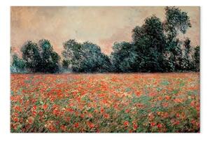 Riproduzione quadro Claude Monet - Poppies at Giverny