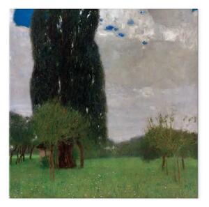 Riproduzione quadro Gustav Klimt - Il grande pioppo I