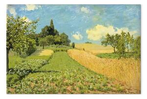 Riproduzione Alfred Sisley - Grain fields on the hills of Argenteuil