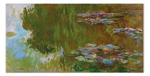 Quadro famoso Claude Monet - Ninfee