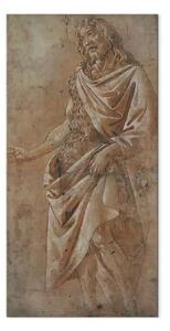 Quadro famoso Sandro Botticelli - Giovanni Battista