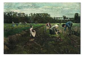 Riproduzione quadro Max Liebermann - Kartoffelernte a Barbizon