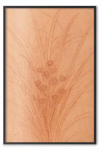 Poster: Canna ramificata