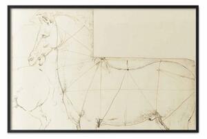 Poster: Leonardo da Vinci - Studio del cavallo