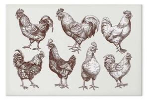 Quadro moderno Una galleria di villaggio - disegni di galline e galli in stile classico
