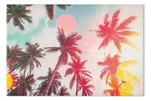 Quadro contemporaneo Palme alla luce - alberi tropicali alla luce del sole