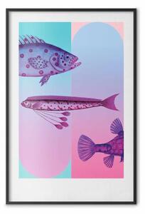 Poster: Creature marine - pesci dai colori intensi su sfondo multicolore