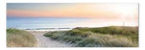 Quadro su tela Sentiero per la spiaggia - vista mare all'alba da una duna di sabbia