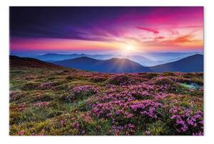 Quadro Tramonto viola - prati fioriti in montagna al tramonto