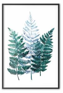 Poster: Felce della foresta - delicati acquerelli che raffigurano una pianta