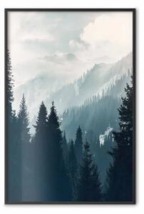 Poster: Tranquillità invernale - foresta di abeti all'alba