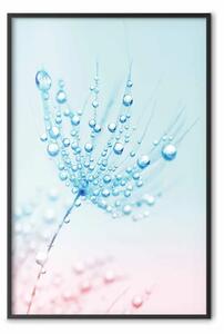 Poster: Umidità cristallina - uno scatto di gocce d'acqua su fibre delicate