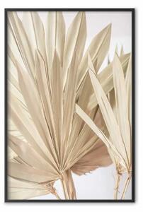 Poster: Palme secche - composizione di foglie beige