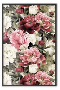 Poster: Giardino di peonie - fiori rossi e bianchi