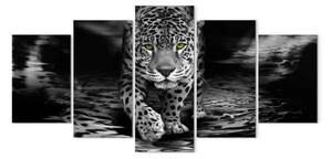 Quadro su tela Predatore dagli occhi verdi (5 pezzi) Largo Nero e Bianco