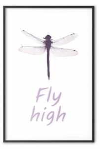 Poster: Fly high - sottile libellula con ali trasparenti su sfondo bianco