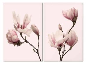 Quadro Magnolie Chic (2 pezzi)