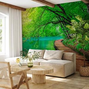 Carta da parati Pace verde - molo di legno immerso nella foresta sopra fiume turchese