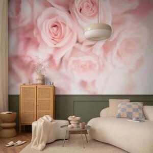 Carta da parati Petali delicati - un delicato bouquet di fiori rosa