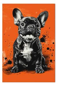 Quadro su tela Bulldog francese - cane carino su sfondo arancione con macchie nere