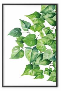 Poster: Motivo vegetale - foglie verdi fresche in disposizione delicata e naturale