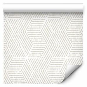 Tappezzerie Simmetria delicata - composizione minimalista con forme lineari